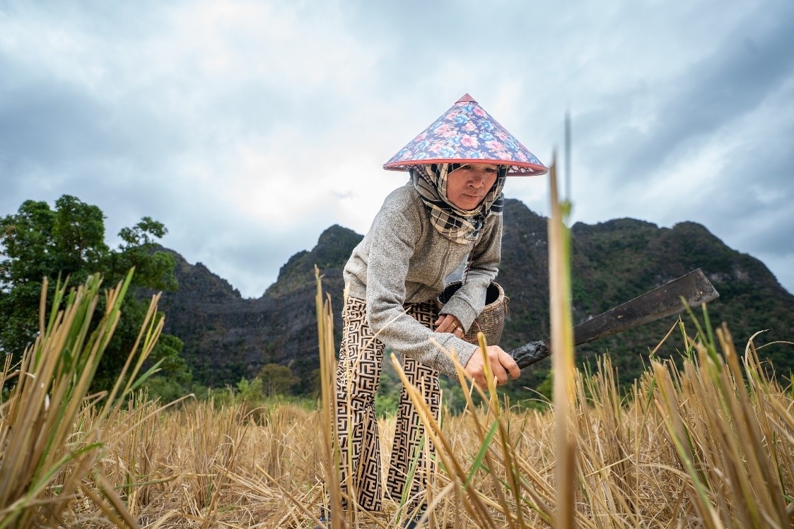 Beyond UXO Clearance: Cultivating Opportunities